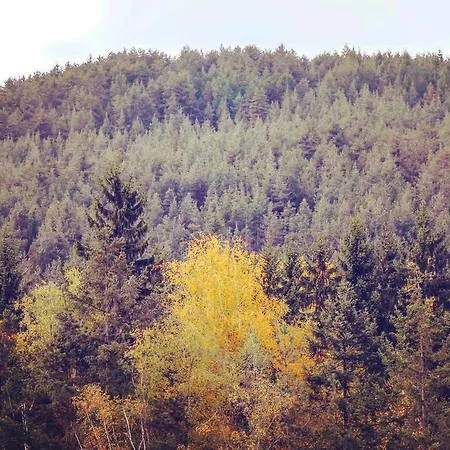 Luxor 아파트